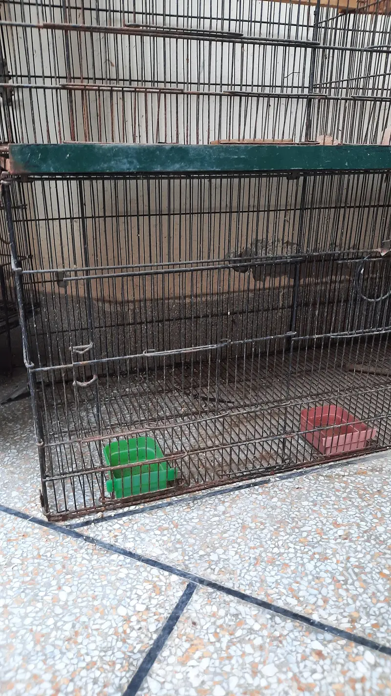 8 compartment cage for sale — photo 5
