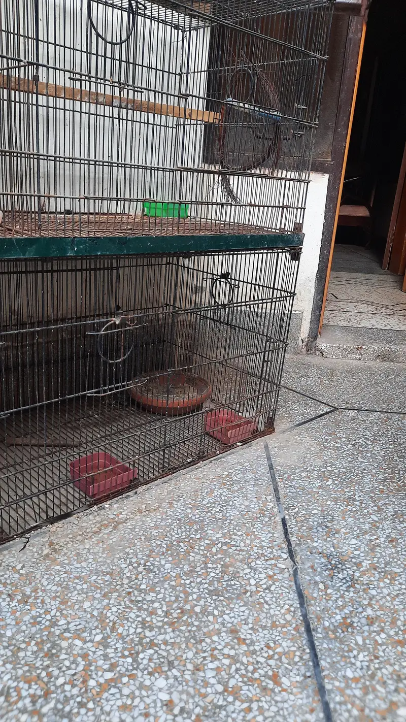 8 compartment cage for sale — photo 6