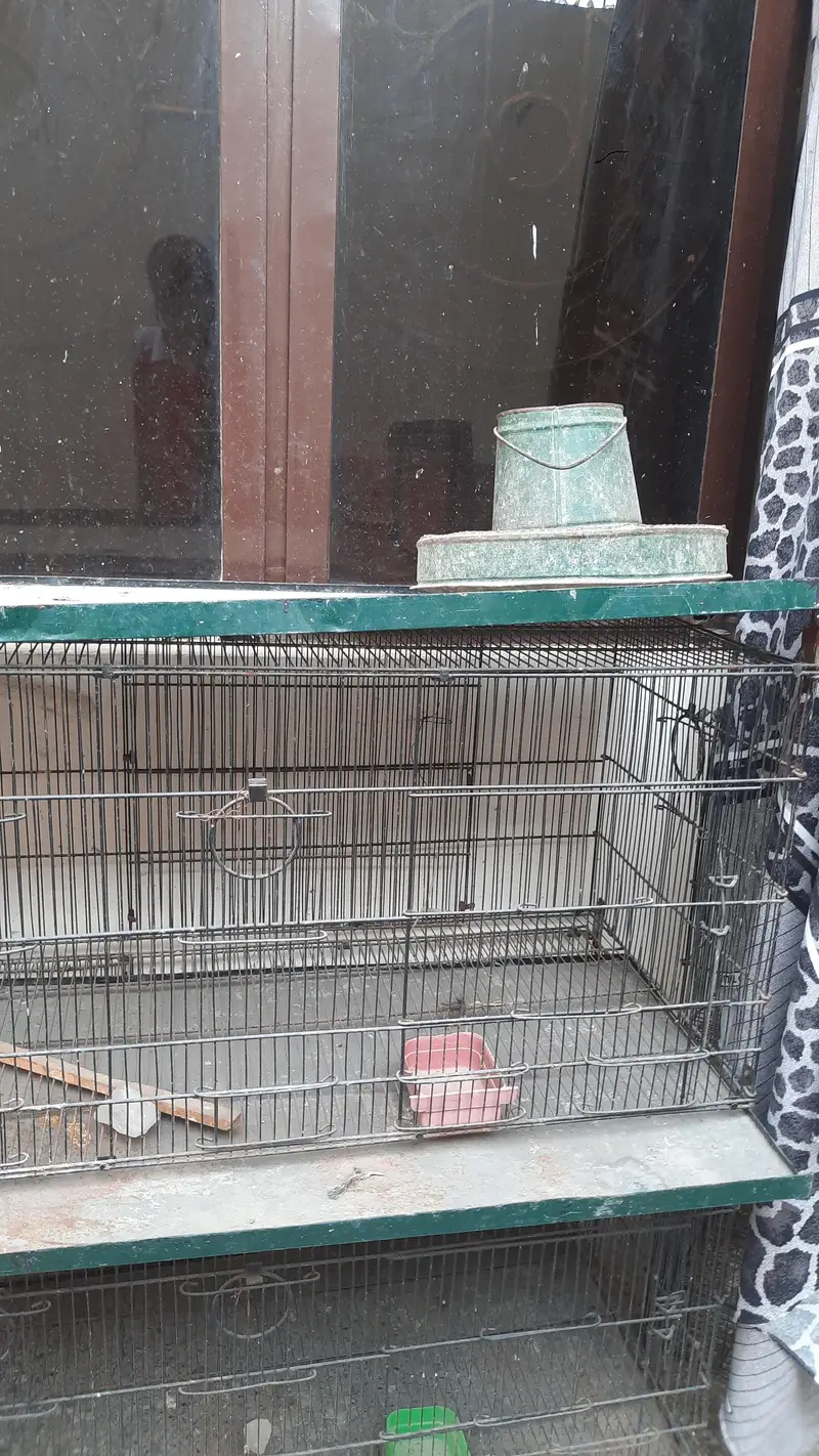 8 compartment cage for sale — photo 8