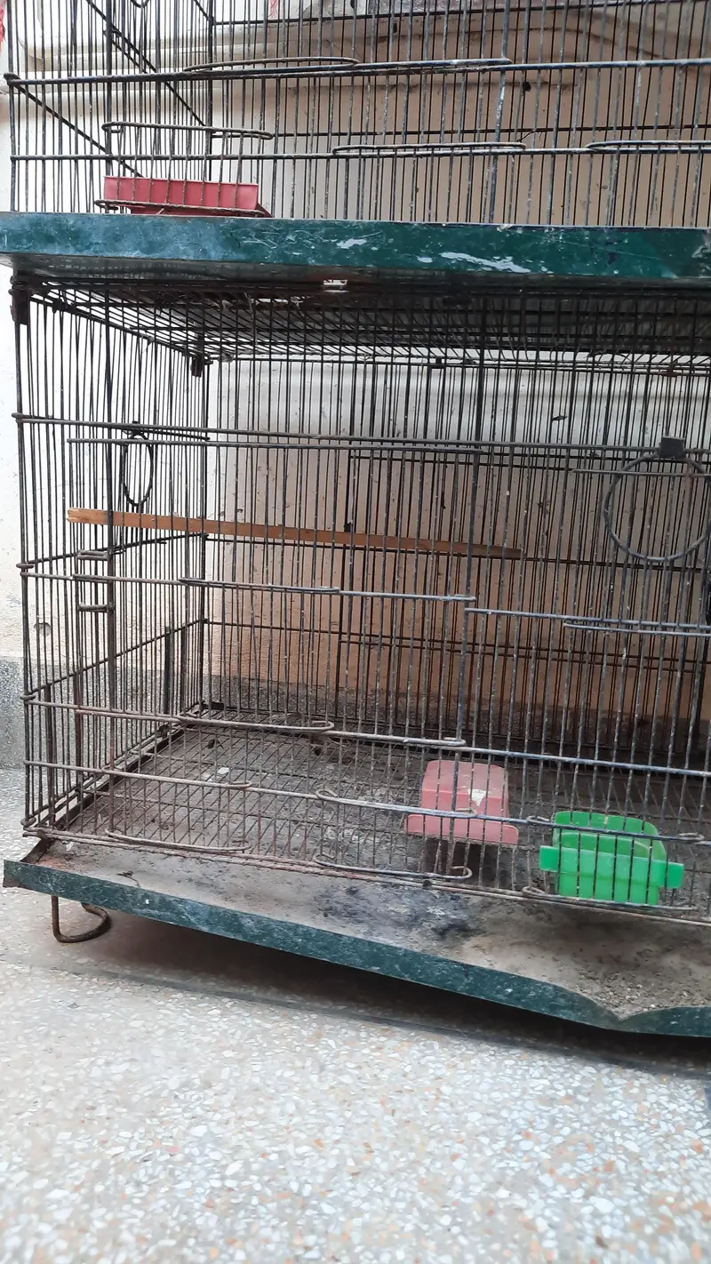 8 compartment cage for sale — photo 9