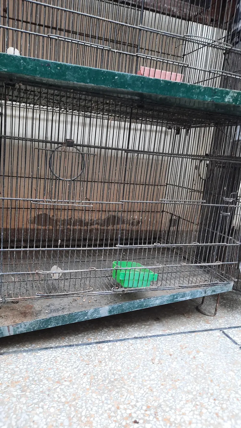 8 compartment cage for sale — photo 10