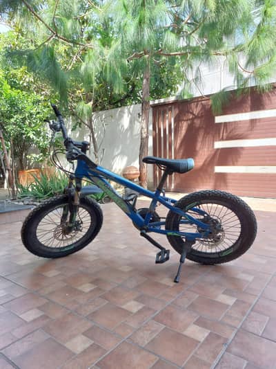 Cobalt Revenge 20" Kids Mountain Bike – Front Suspension & Disc Brakes