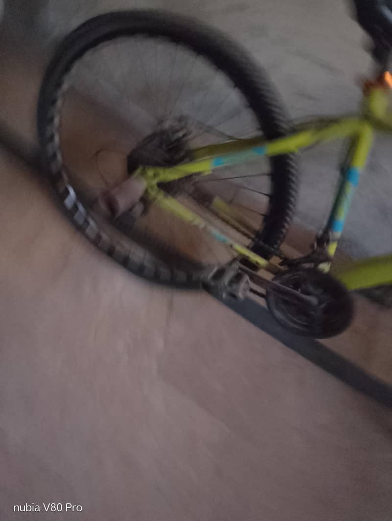 benzore cycle 2