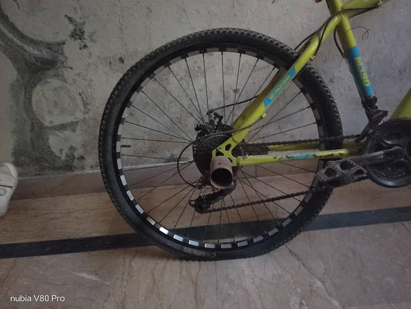 benzore cycle 3