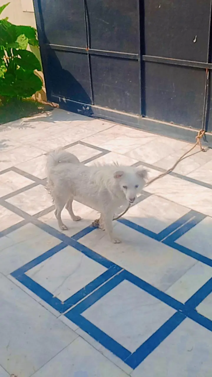 healthy active and fully vaccineted security guard is ailable — photo 4