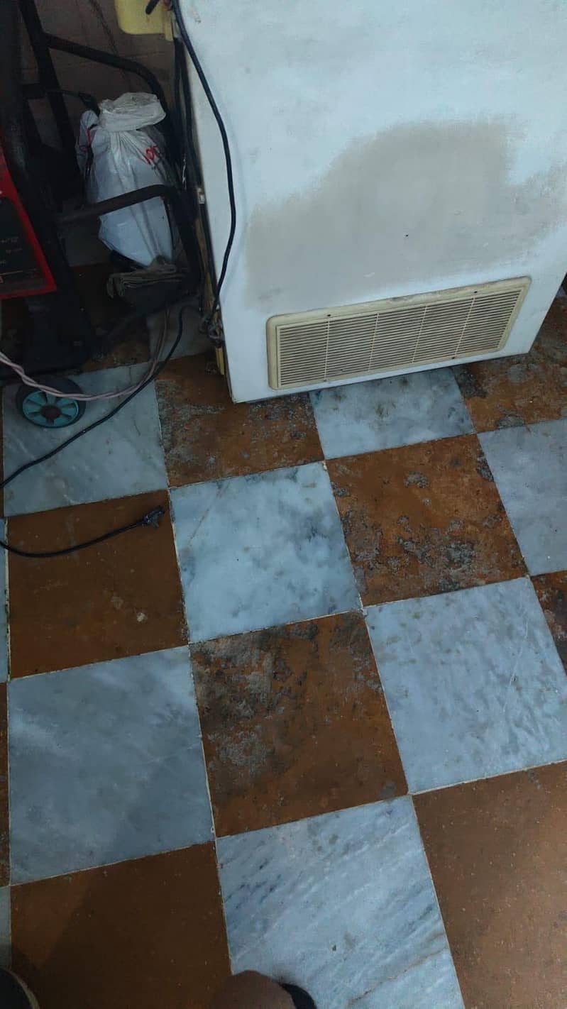deep freezer 2