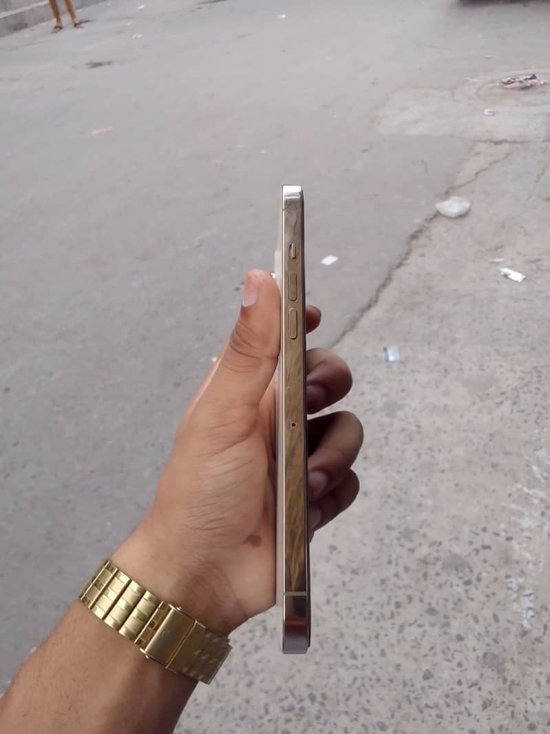 Apple iPhone 12 Pro Max 0