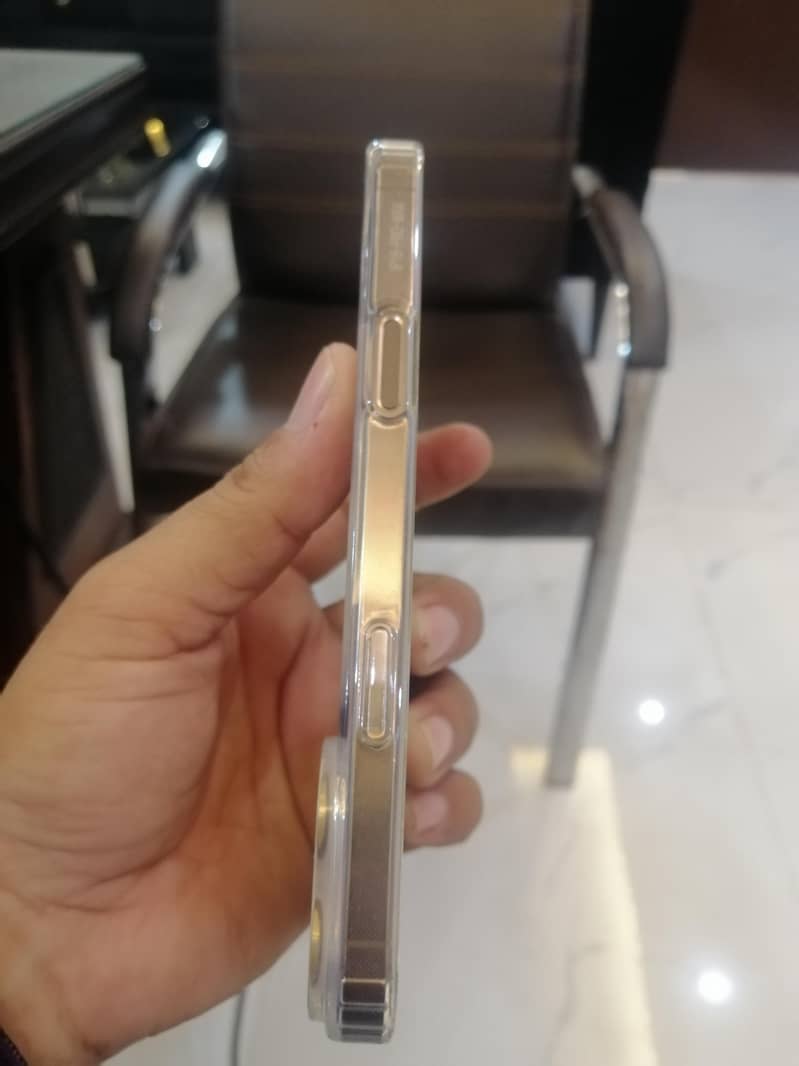 Apple iPhone 16 Pro Max 1