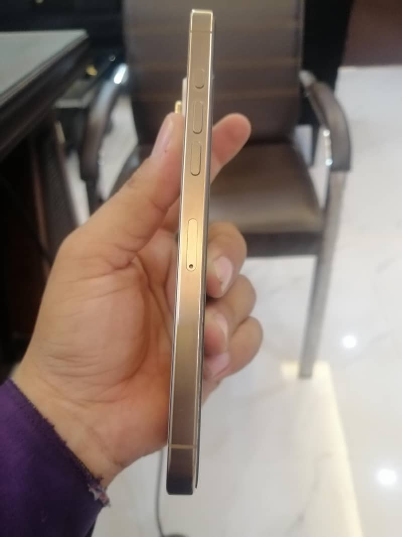 Apple iPhone 16 Pro Max 3
