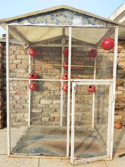 Flying or Colony Cage