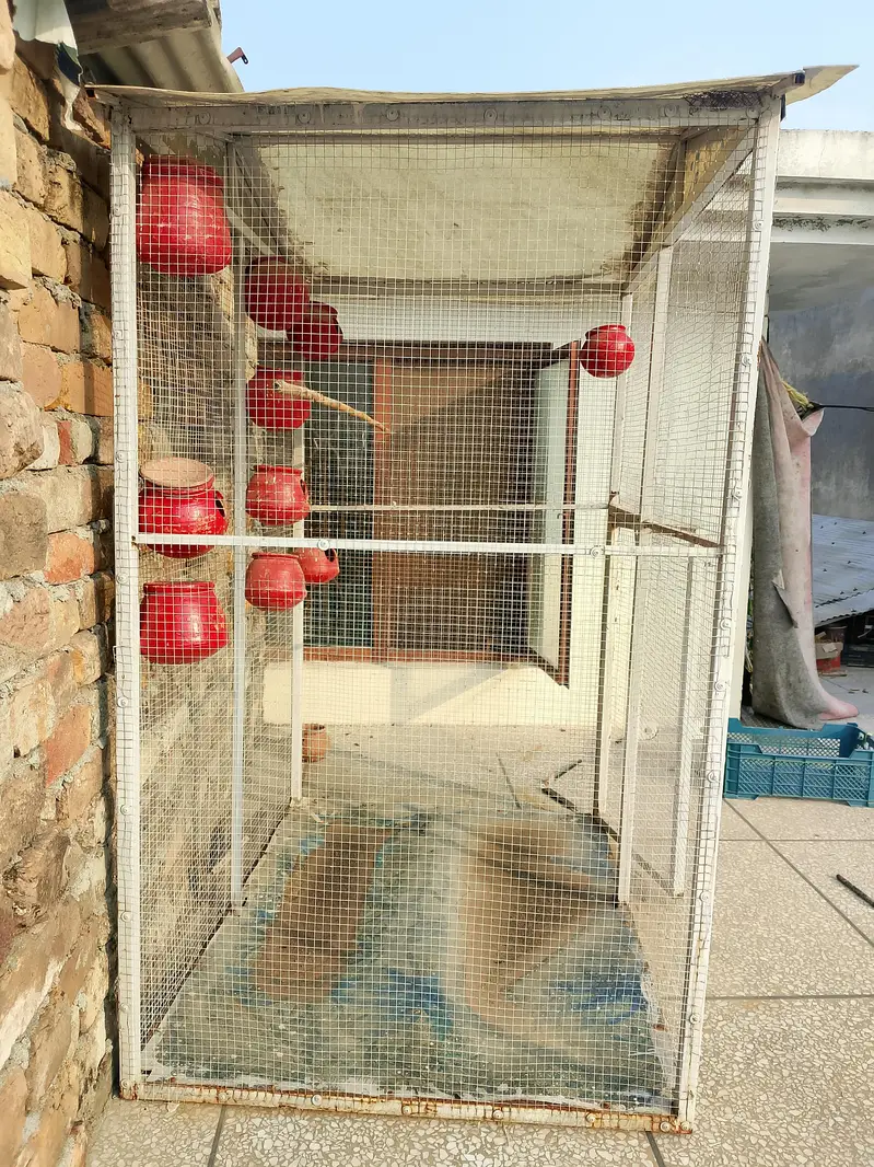 Flying or Colony Cage — photo 2