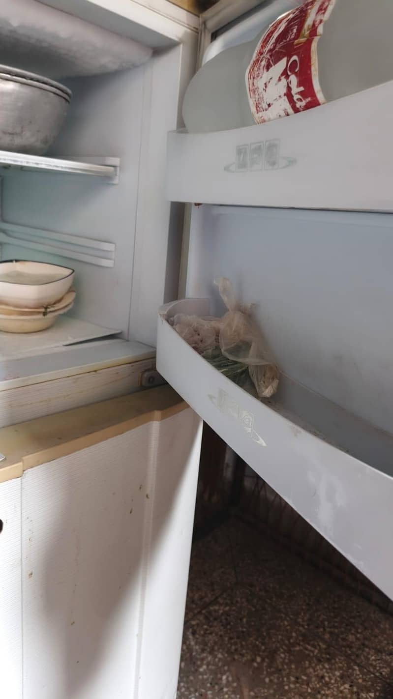 FRIDGE 3