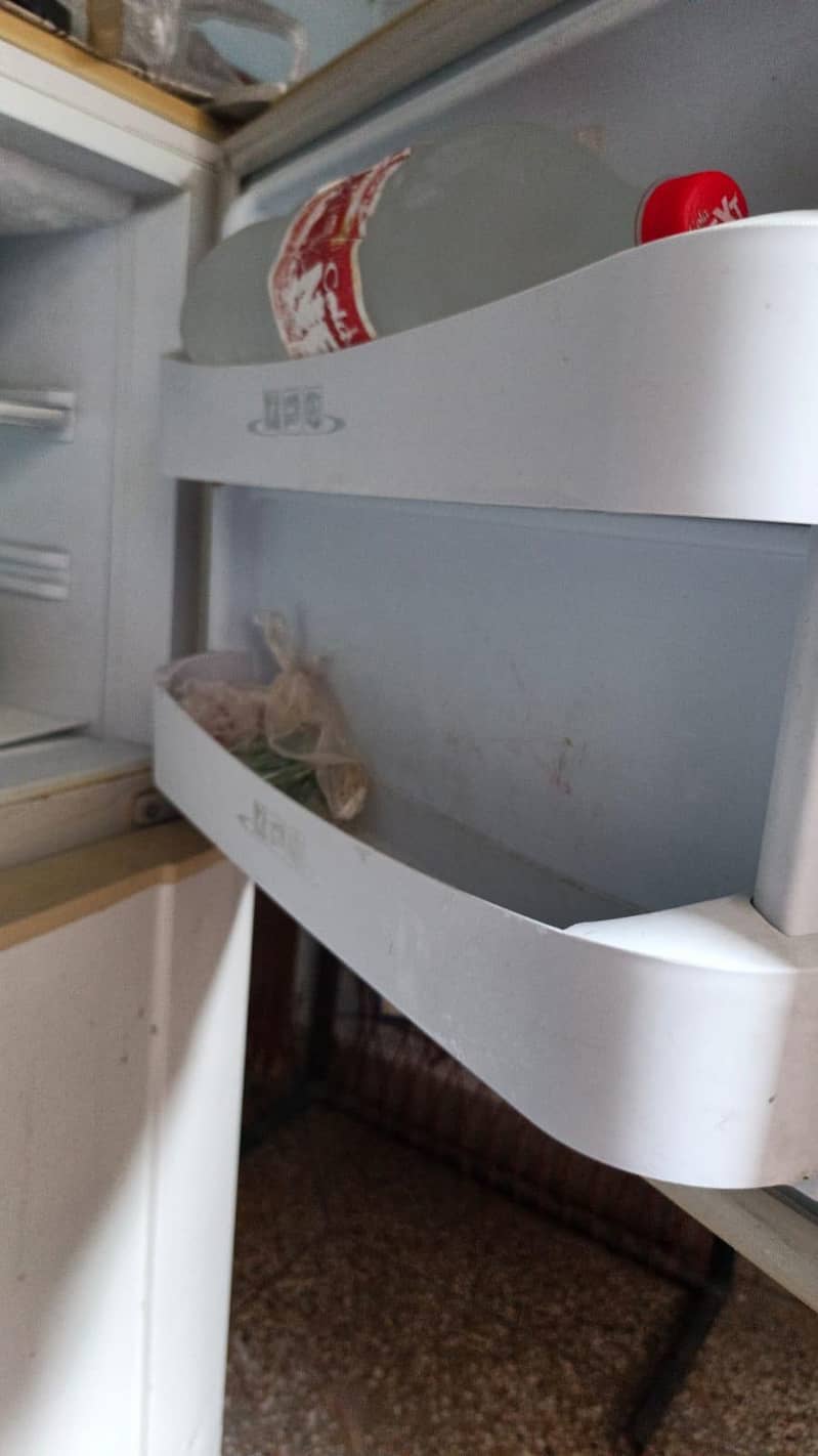 FRIDGE 6
