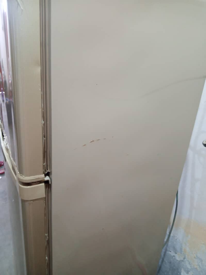 Fridge 1