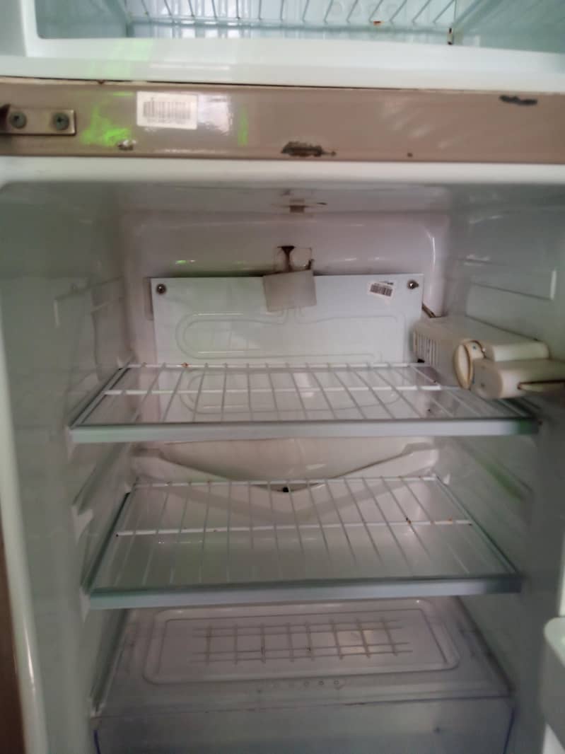 Fridge 9