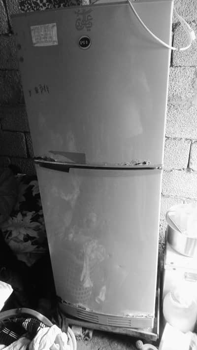 fridge pel