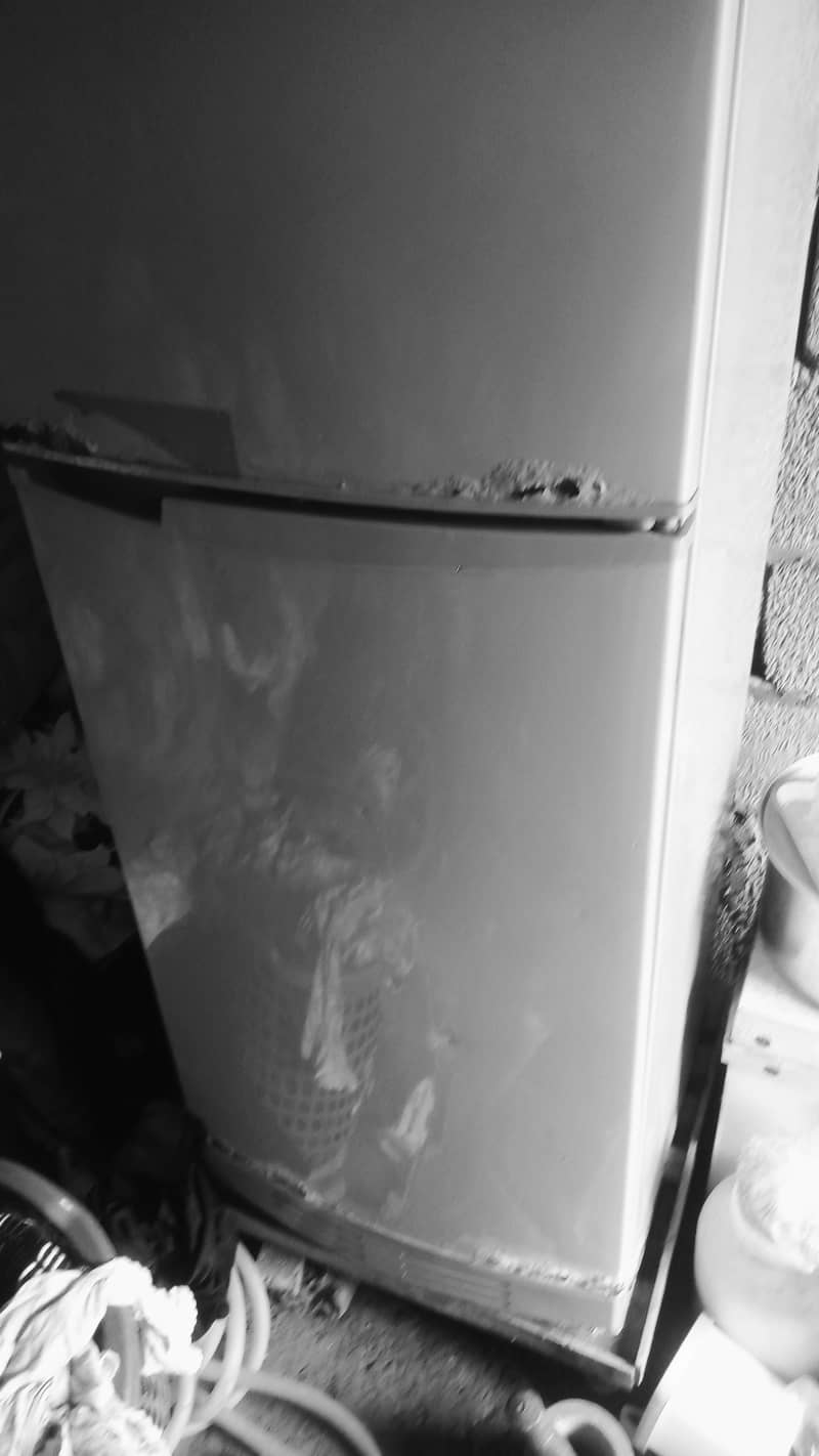 fridge pel 1