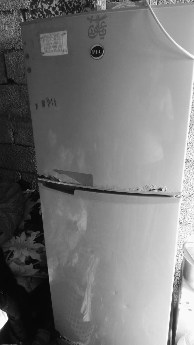 fridge pel 2