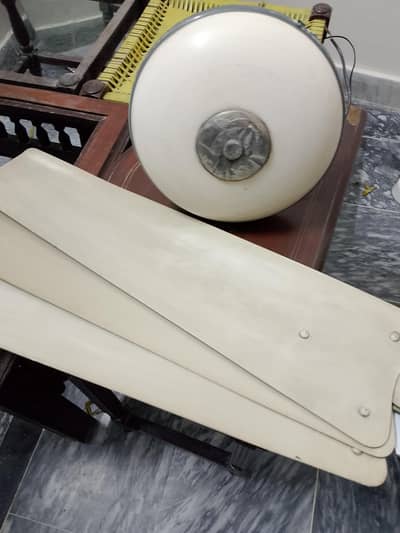 celling Fan
