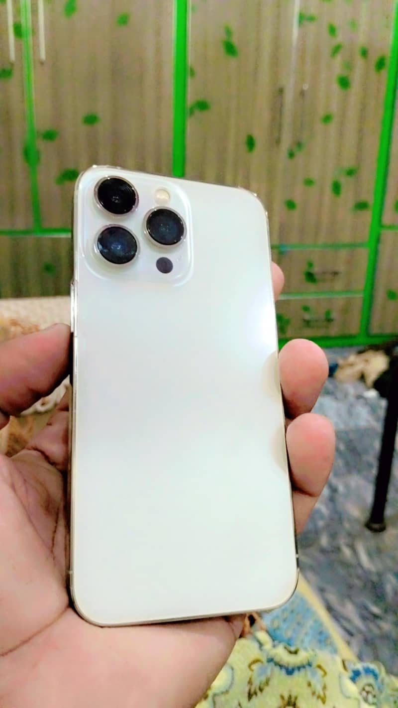 Apple iPhone 13 Pro 0