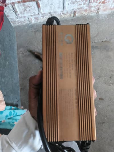 ecodost chargingr 72v10a (83v 10a)