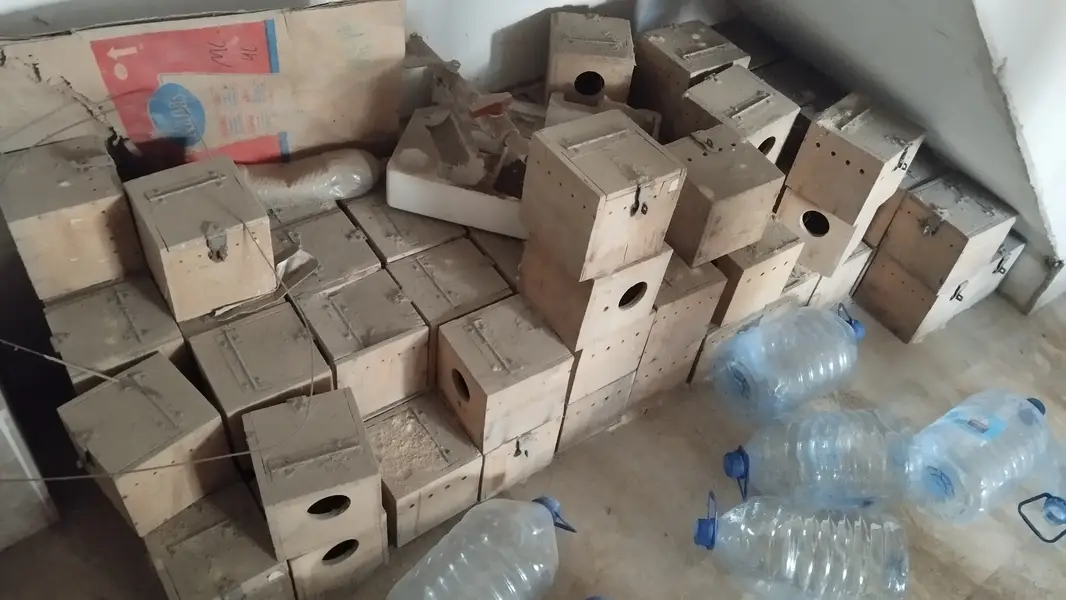 Wooden Breeding boxes for finches javas love birds available