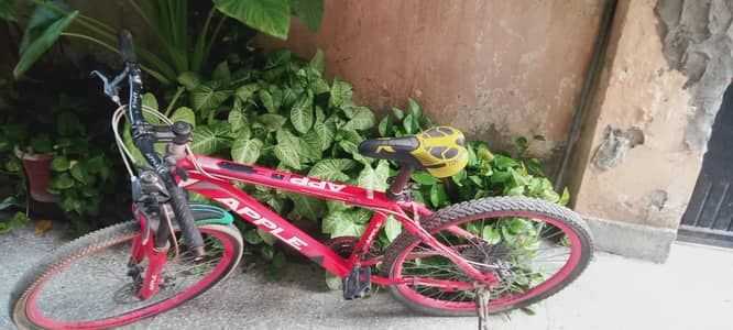 Apple cycle