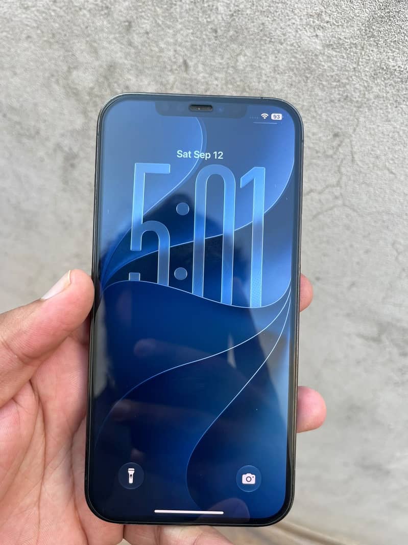 Apple iPhone 12 Pro Max 1