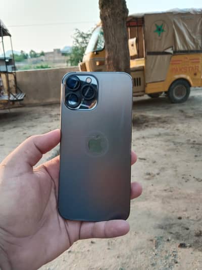 Apple iPhone 13 Pro Max jv