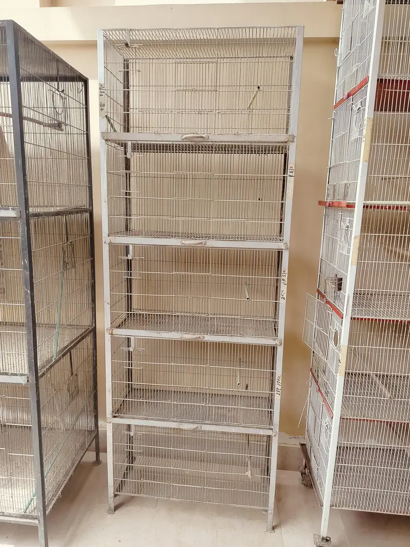 Used cages - birds jhangir angle frame — photo 2