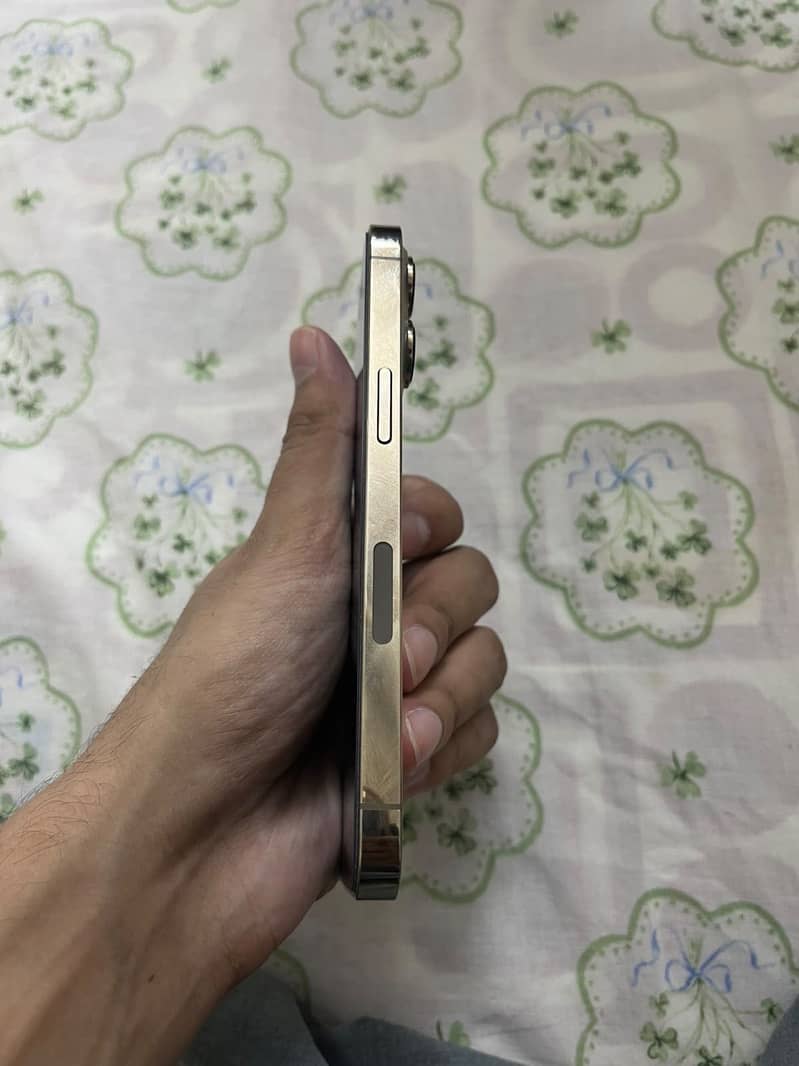 Apple iPhone 13 Pro 1