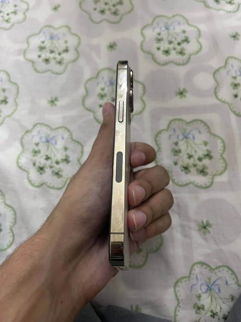 Apple iPhone 13 Pro 2