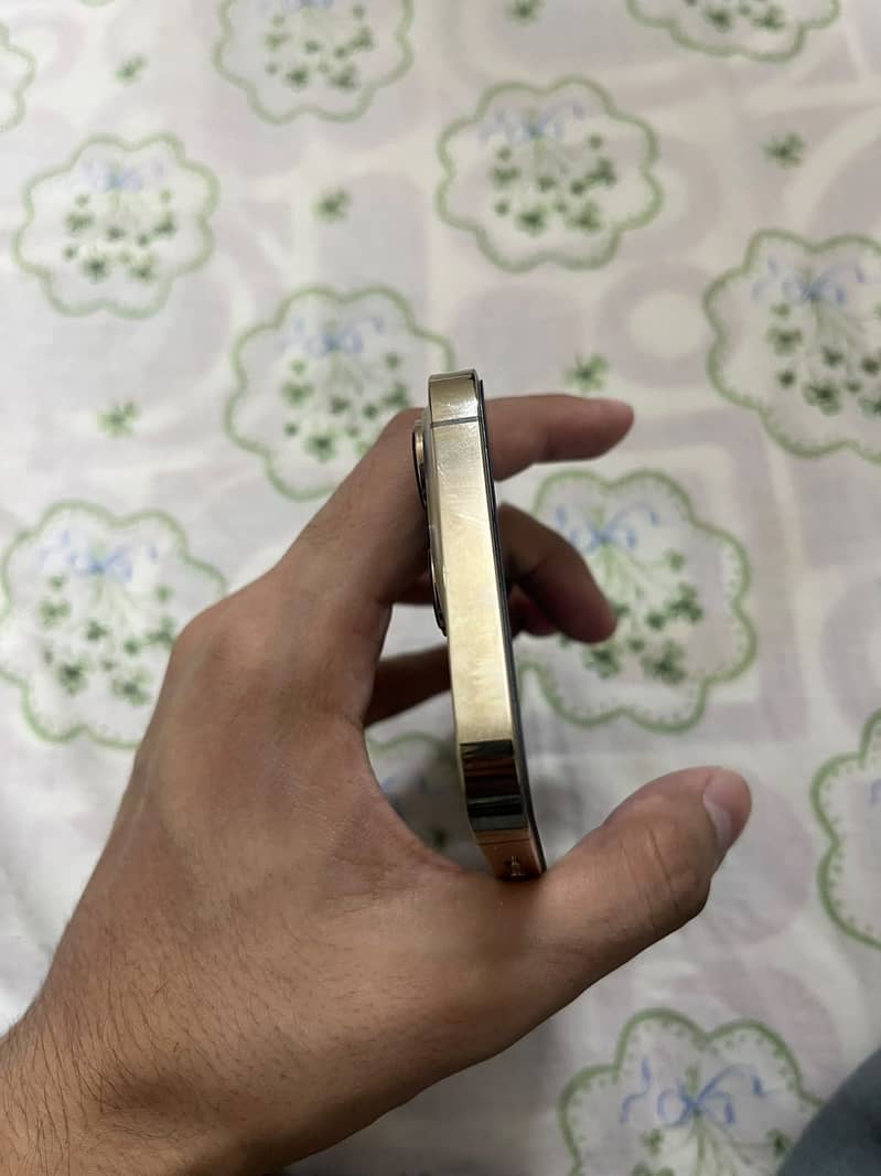 Apple iPhone 13 Pro 3