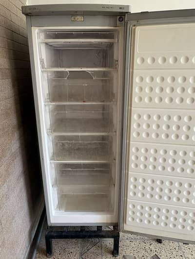 Upright deep freezer