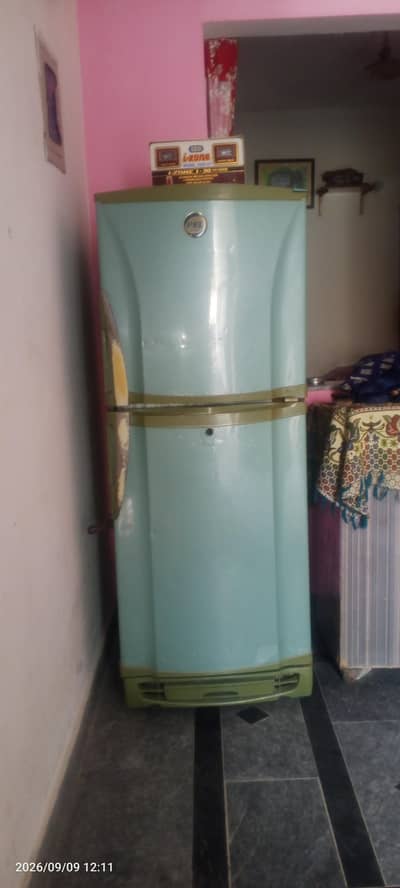 pel refrigerator for sale