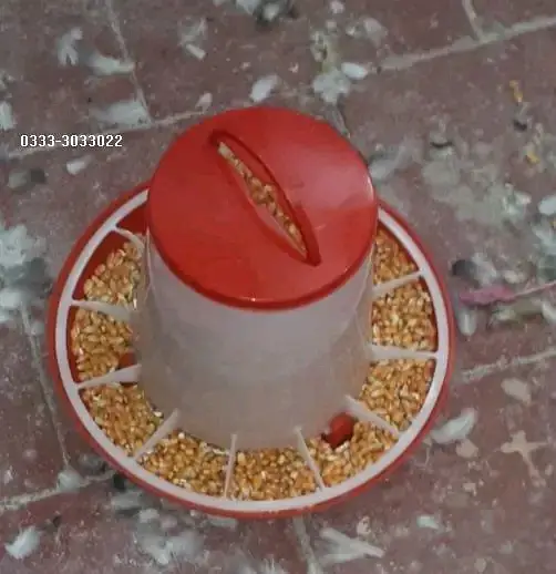 Bird feeder drinkers china — photo 4
