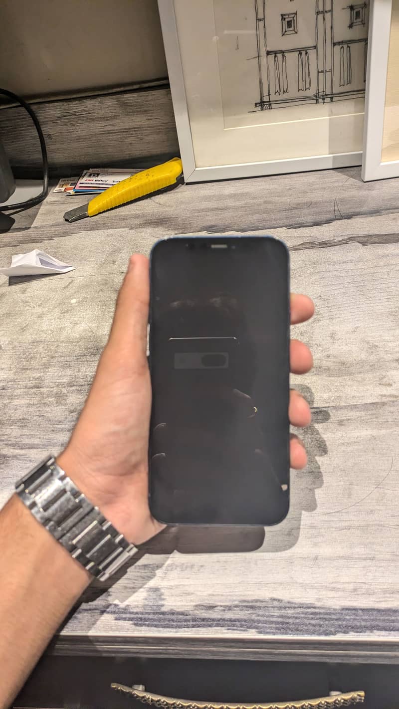 Apple iPhone 12 1