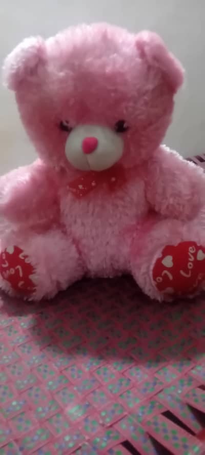 teddy bear like new