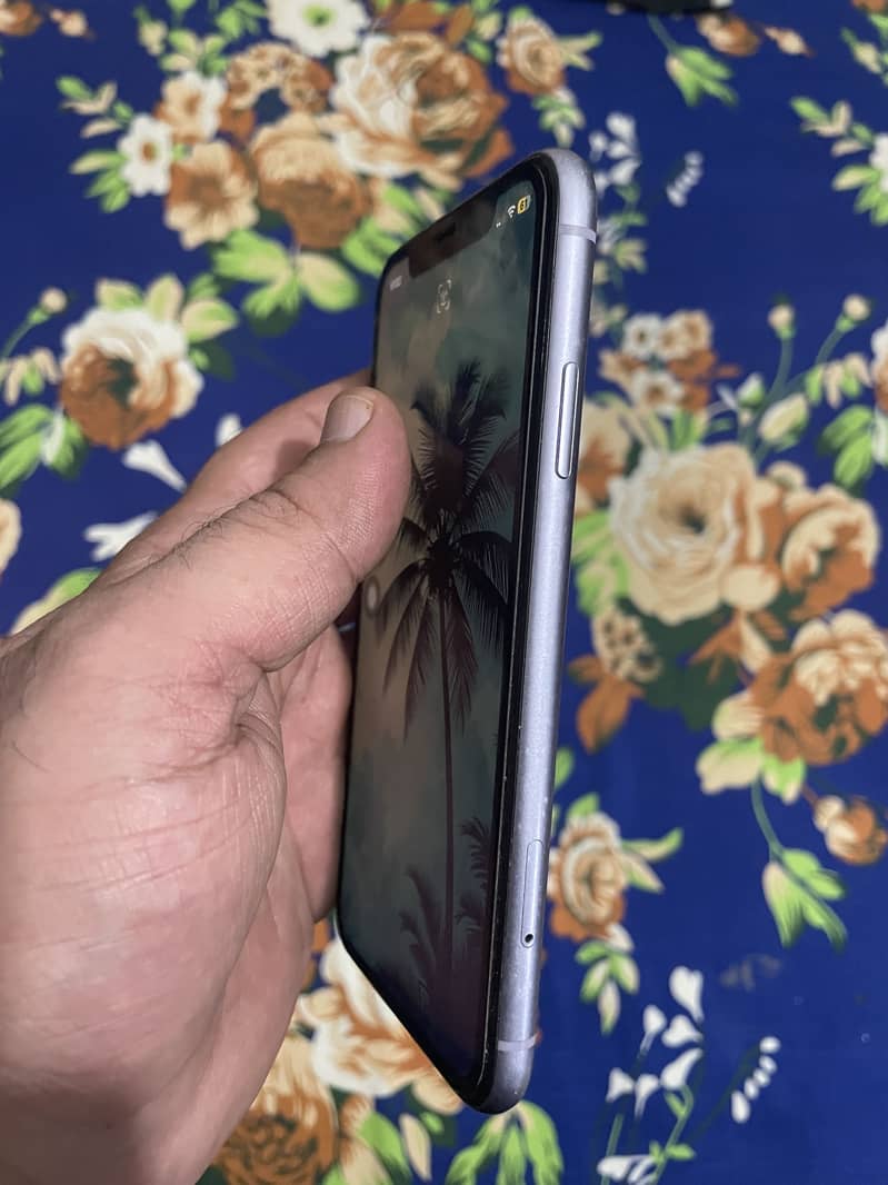 Apple iPhone 11 0