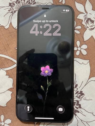 Apple iPhone 12 Pro