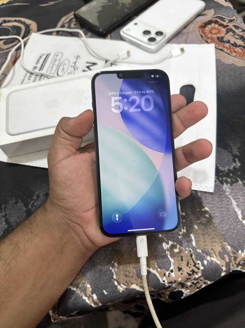 Apple iPhone 13 Pro Max 1