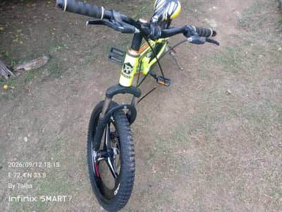 Begood Company Cycle