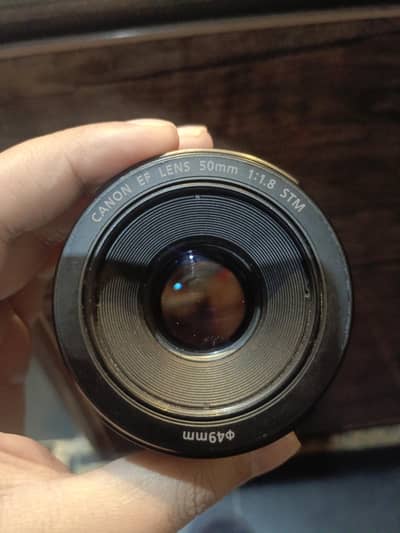 Canon STM 50MM Lens
