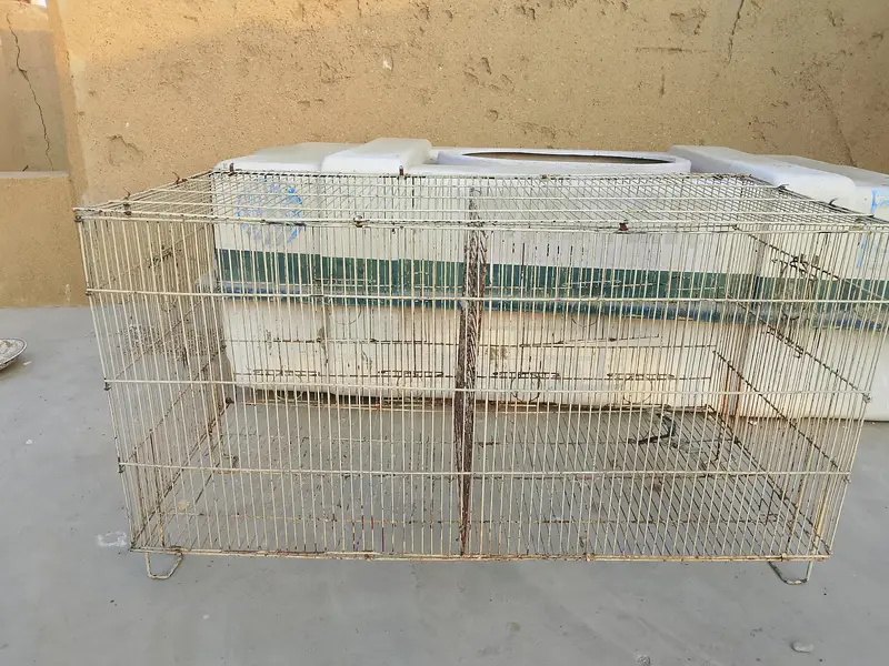 cage for parrot — photo 2