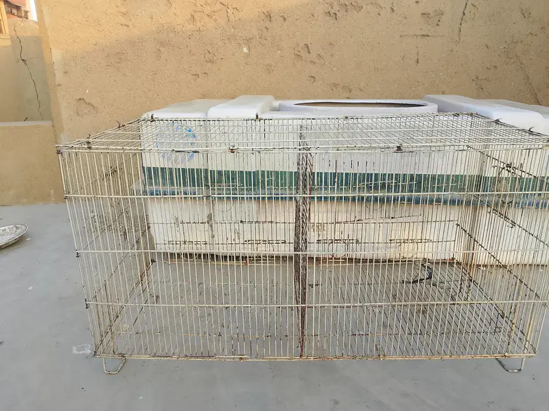 cage for parrot — photo 3