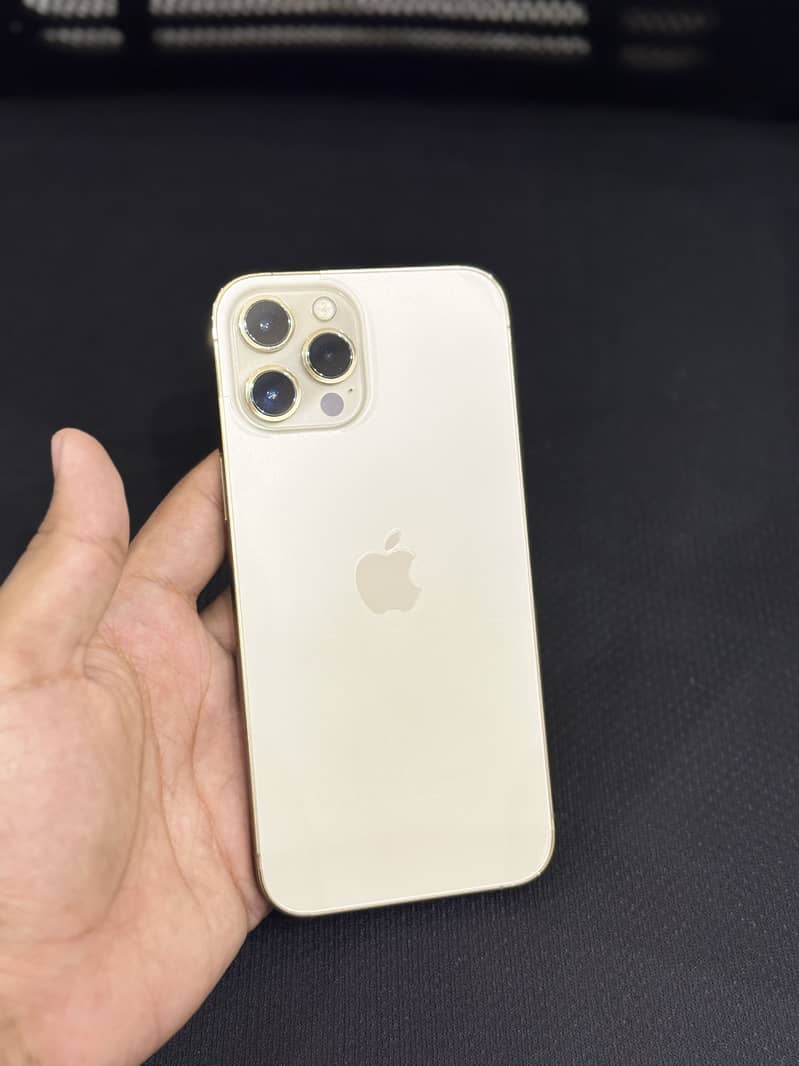 Apple iPhone 12 Pro Max 1