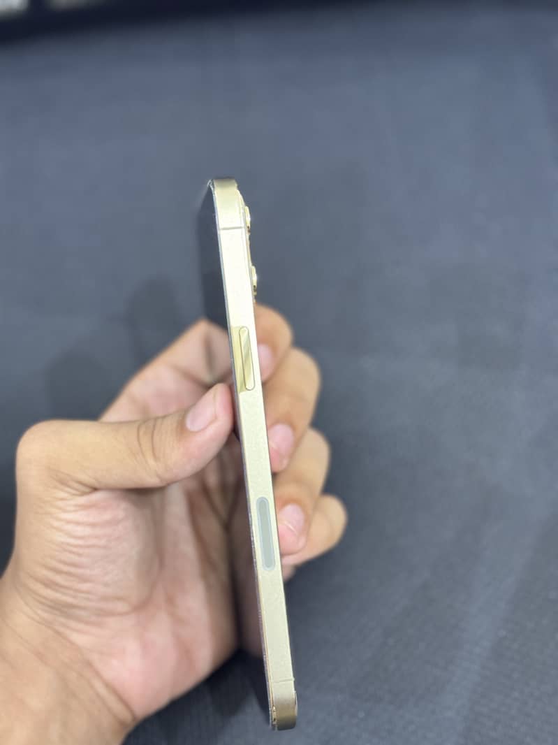 Apple iPhone 12 Pro Max 2