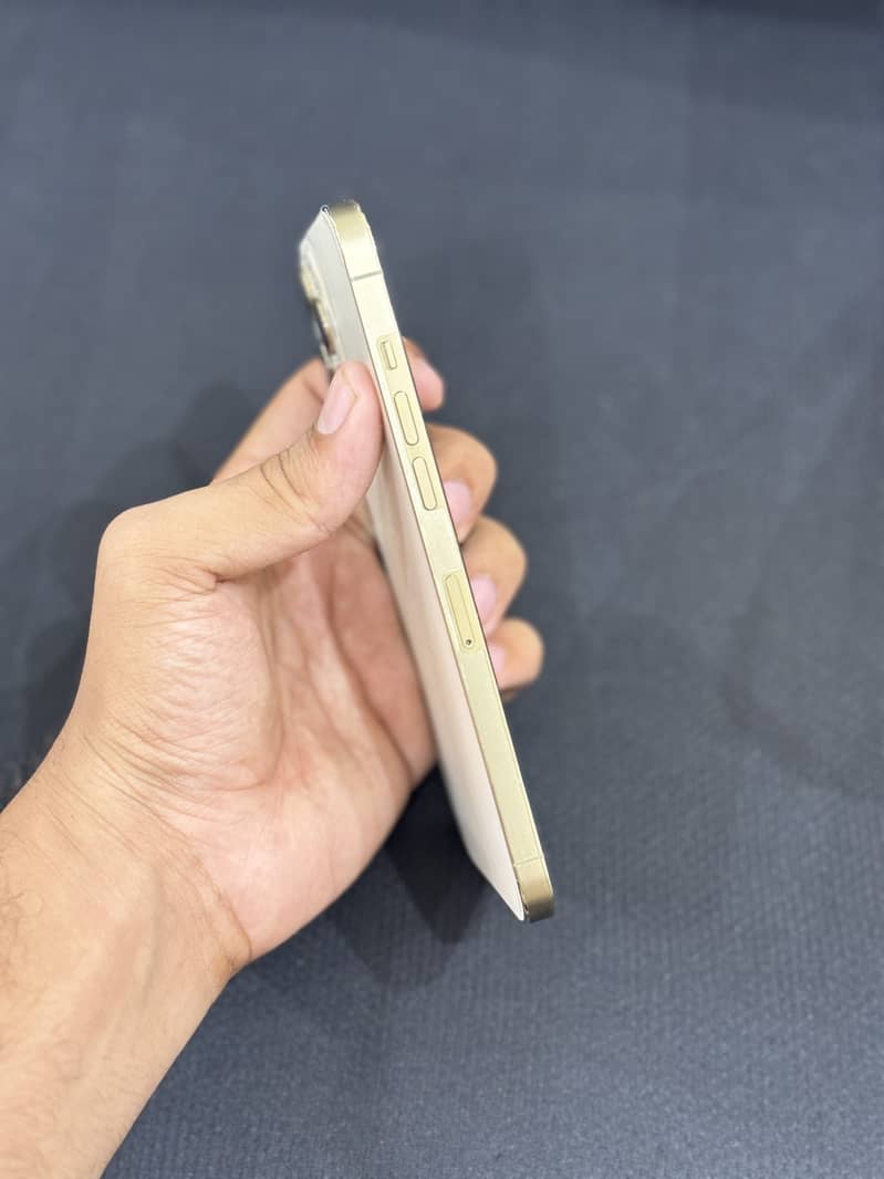 Apple iPhone 12 Pro Max 7
