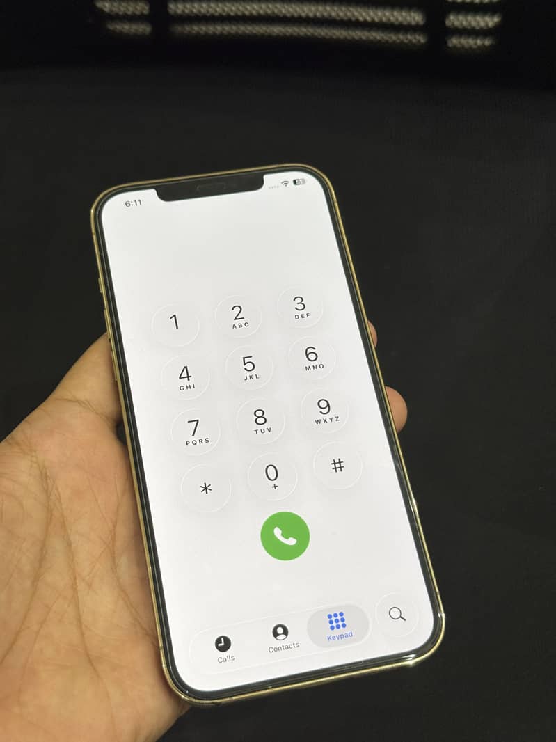Apple iPhone 12 Pro Max 10
