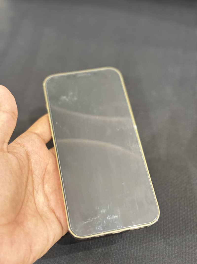 Apple iPhone 12 Pro Max 11